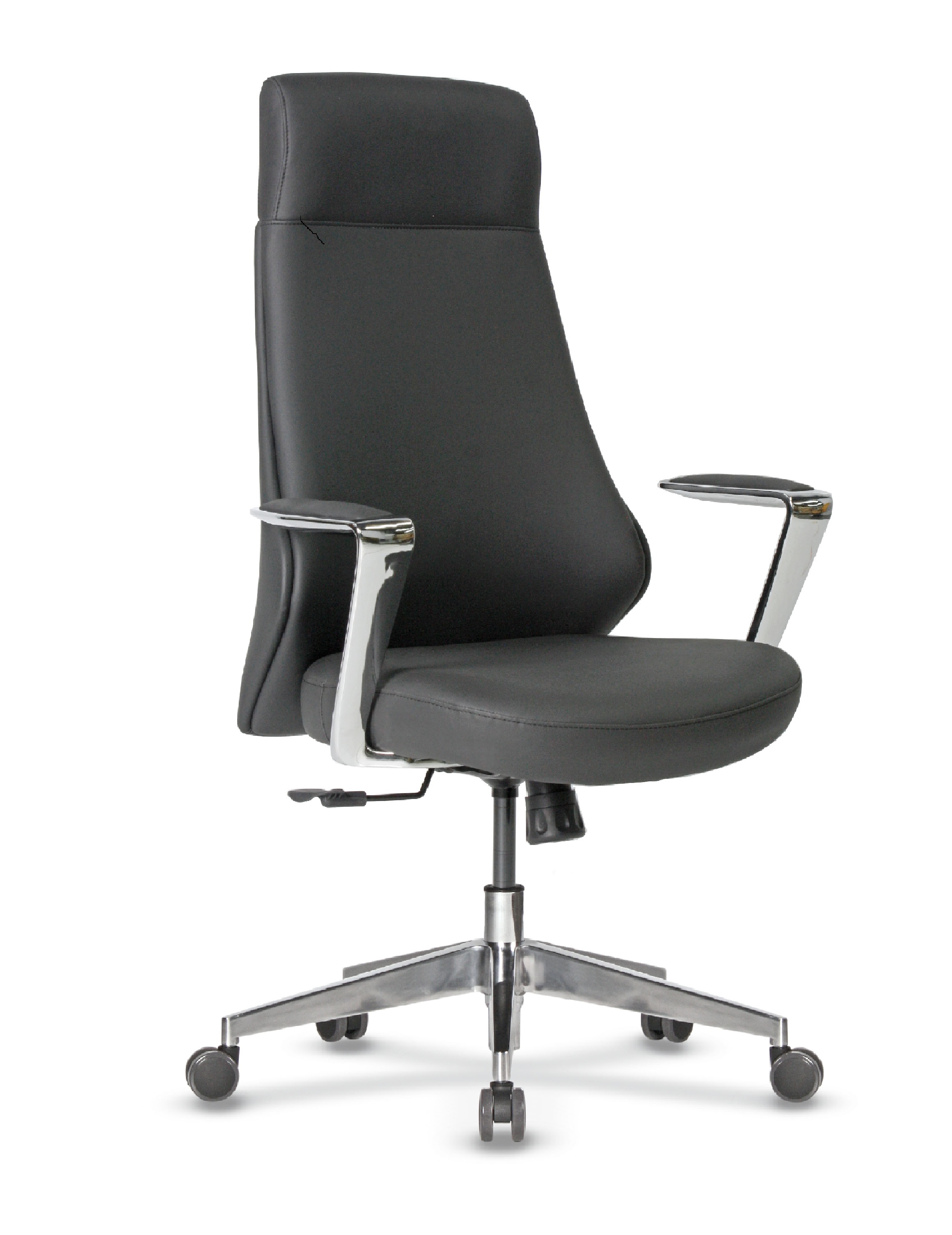 CANVAS MÜDÜR KOLTUK